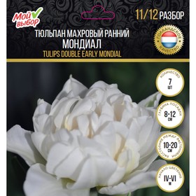 

Тюльпан махровый ранний Мондиал, р-р 11/12, 7 шт