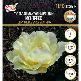 

Тюльпан махровый ранний Монтрекс, р-р 11/12, 7 шт