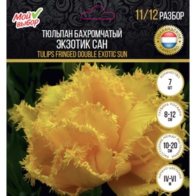 

Тюльпан бахромчатый Экзотик Сан, р-р 11/12, 7 шт