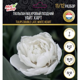 

Тюльпан махровый поздний Уайт Харт, р-р 11/12, 7 шт