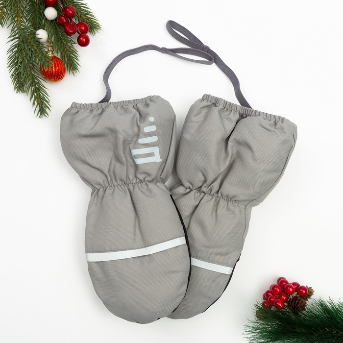 Рукавицы Эмбер, 3 года, цвет серый, 90814-81