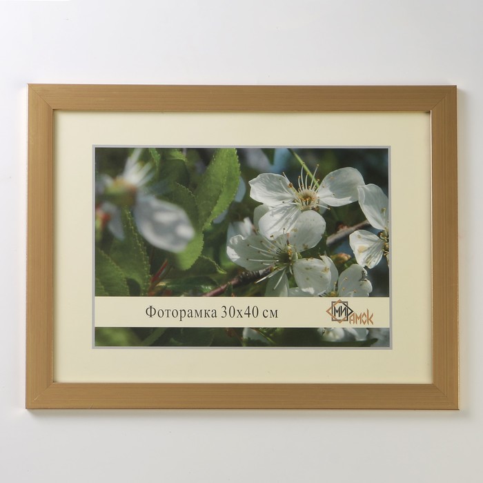Фоторамка 404-1123 30х40 см