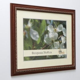 

Фоторамка 352-3022 NG 30х40 см