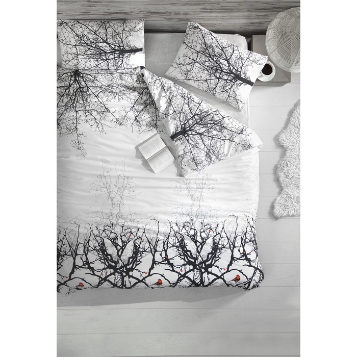 КПБ Pio 1,5 сп, 160х240 см, 160х220 см, 50х70 см-1 шт., ранфорс