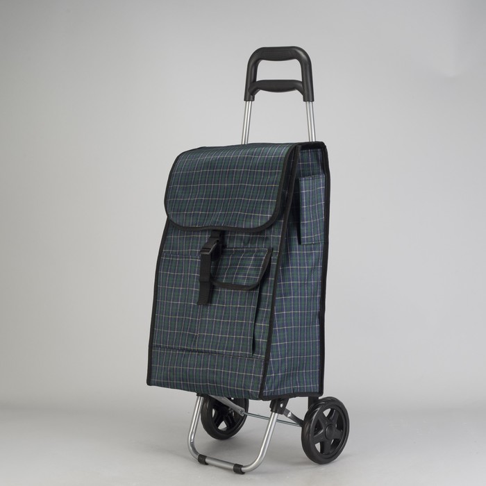 Сумка-тележка хозяйственная на колёсах "Клетка", 1 отдел на клапане, max вес 20 кг, цвет зелёный