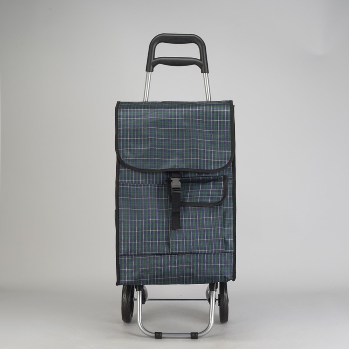 Сумка-тележка хозяйственная на колёсах "Клетка", 1 отдел на клапане, max вес 20 кг, цвет зелёный