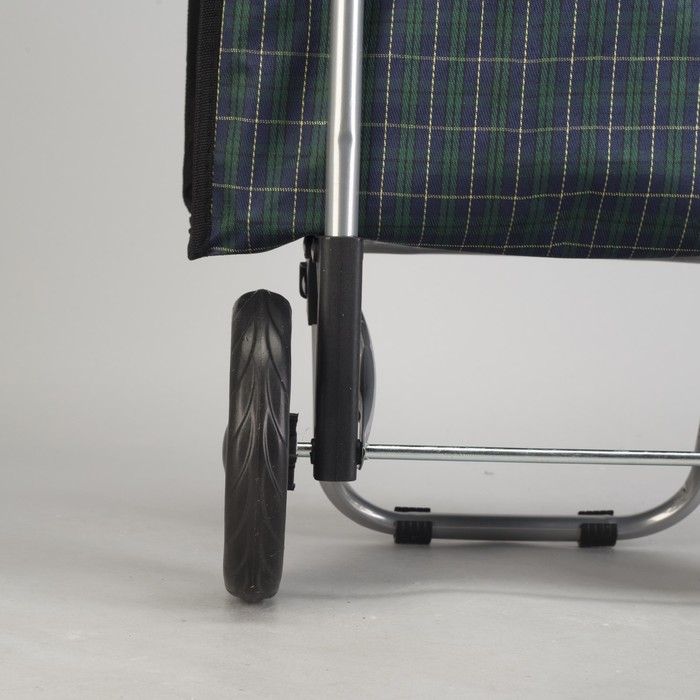 Сумка-тележка хозяйственная на колёсах "Клетка", 1 отдел на клапане, max вес 20 кг, цвет зелёный