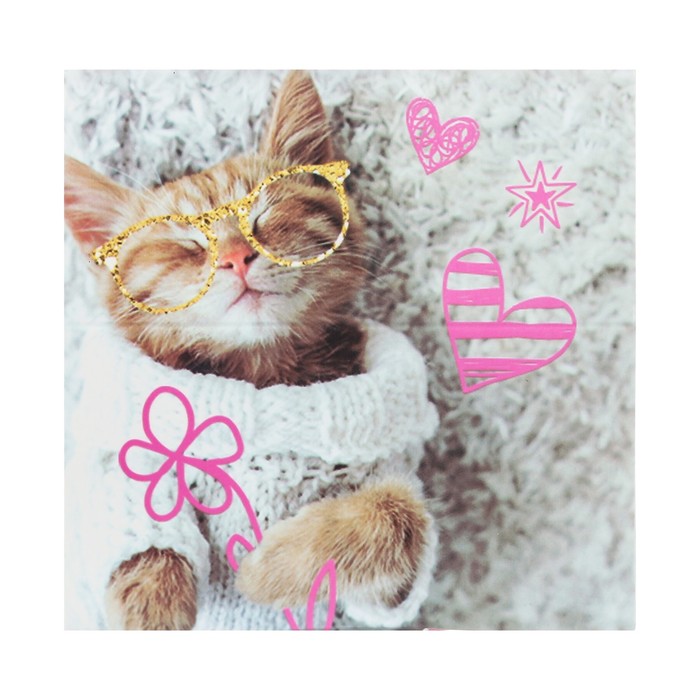 Бумажный блок в картонном футляре "Мяу", 250 листов