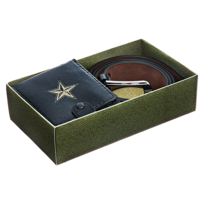 Подарочный набор "С Днём защитника Отечества": ремень и кошелек, экокожа