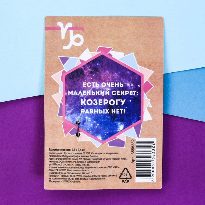 Брошь-талисман гороскоп "Козерог"