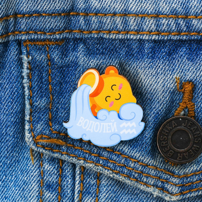 Брошь-талисман гороскоп "Водолей"