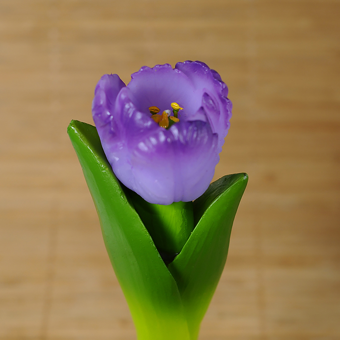 Силиконовая форма для мыла "Тюльпан на стебле"