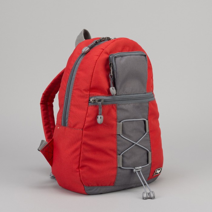 Рюкзак молодёжный, отдел на молнии, 2 наружных кармана, цвет красный/серый