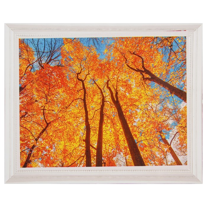 Роспись по холсту "Крона" по номерам с красками по 3 мл+ кисти+инстр+крепеж 30*40