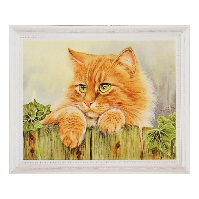 Роспись по холсту "Котяра" по номерам с красками по 3 мл+ кисти+инстр+крепеж 30*40