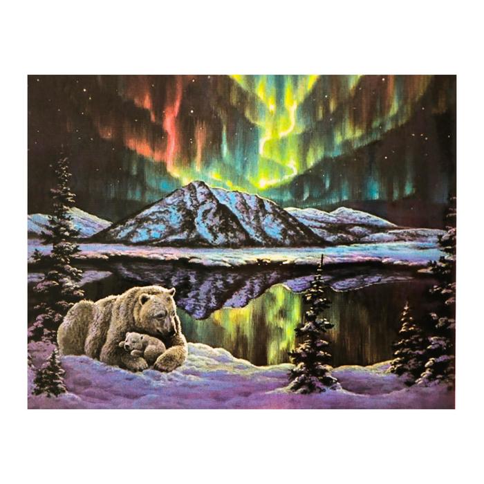 Роспись по холсту "Северное сияние" по номерам с красками по 3 мл+ кисти+инстр+крепеж 30*40