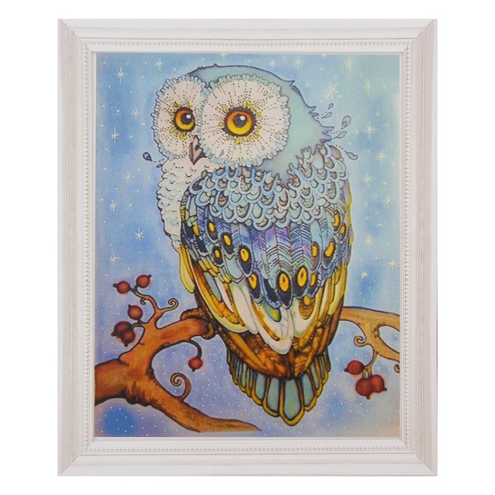 Роспись по холсту "Сова" по номерам с красками по 3 мл+ кисти+инстр+крепеж 30*40