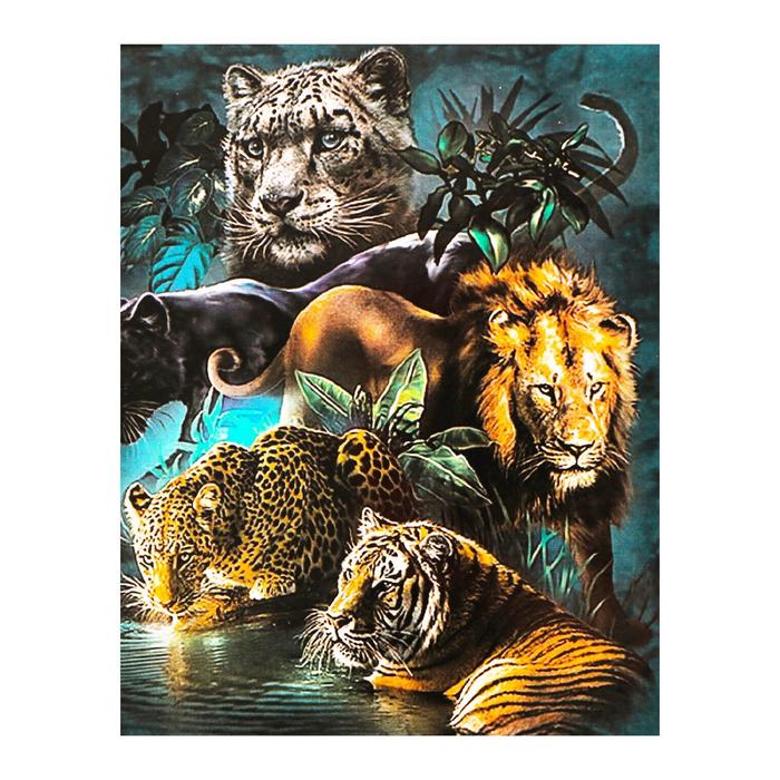 Роспись по холсту "Хищники" по номерам с красками по 3 мл+ кисти+инстр+крепеж 30*40
