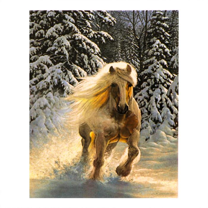 Роспись по холсту "Скакун" по номерам с красками по 3 мл+ кисти+инстр+крепеж 30*40