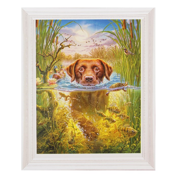 Роспись по холсту "Собачка на воле" по номерам с красками по 3 мл+ кисти+инстр+крепеж 30*40