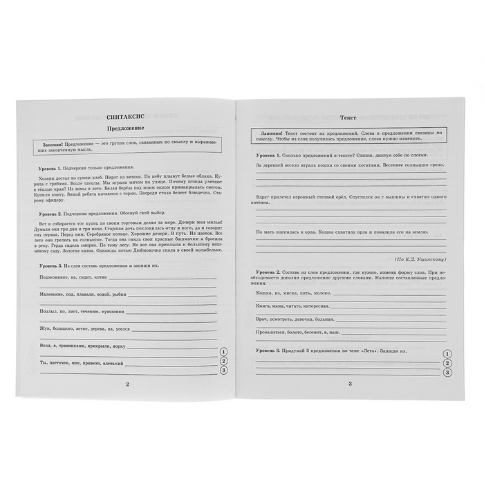 Русский язык. Все примеры и задания на все правила и орфограммы. 1 класс. Автор: Шевелёва Н.Н.