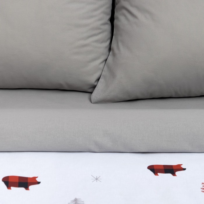 Постельное бельё "Этель" 2 сп Winter pig 175*215 см, 200*220 см, 70*70 см - 2 шт, поплин