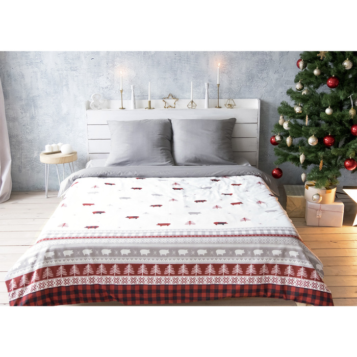 Постельное бельё "Этель" 2 сп Winter pig 175*215 см, 200*220 см, 70*70 см - 2 шт, поплин