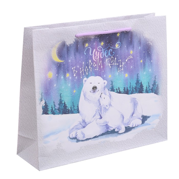 Пакет ламинированный горизонтальный «Чудес в Новом Году!», 23 × 27 × 8 см