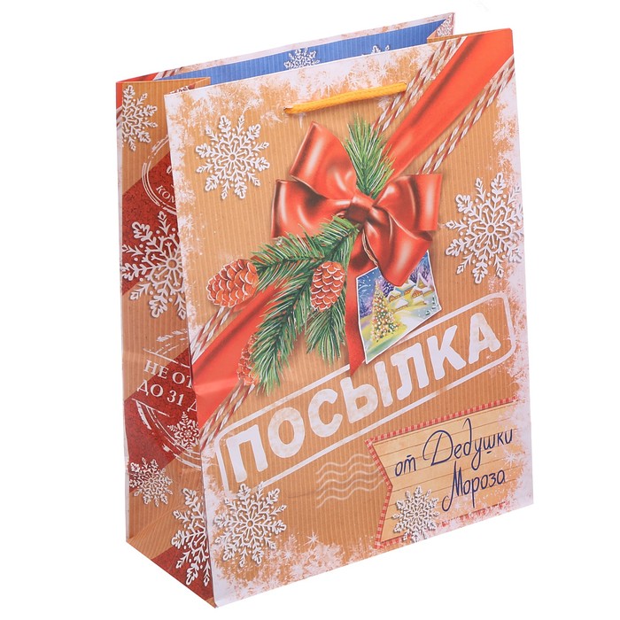 Пакет ламинированный вертикальный «Посылка от Дедушки Мороза», 23 × 27 × 8 см