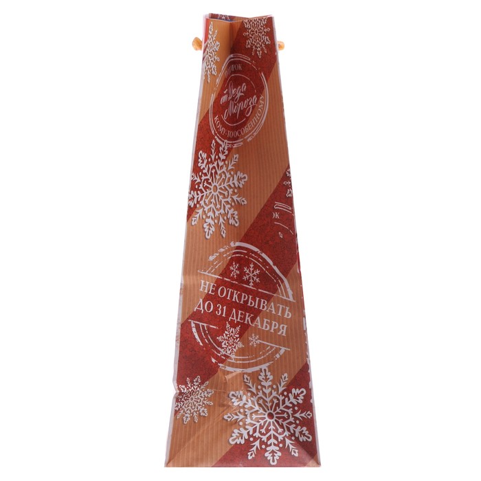 Пакет ламинированный вертикальный «Посылка от Дедушки Мороза», 23 × 27 × 8 см