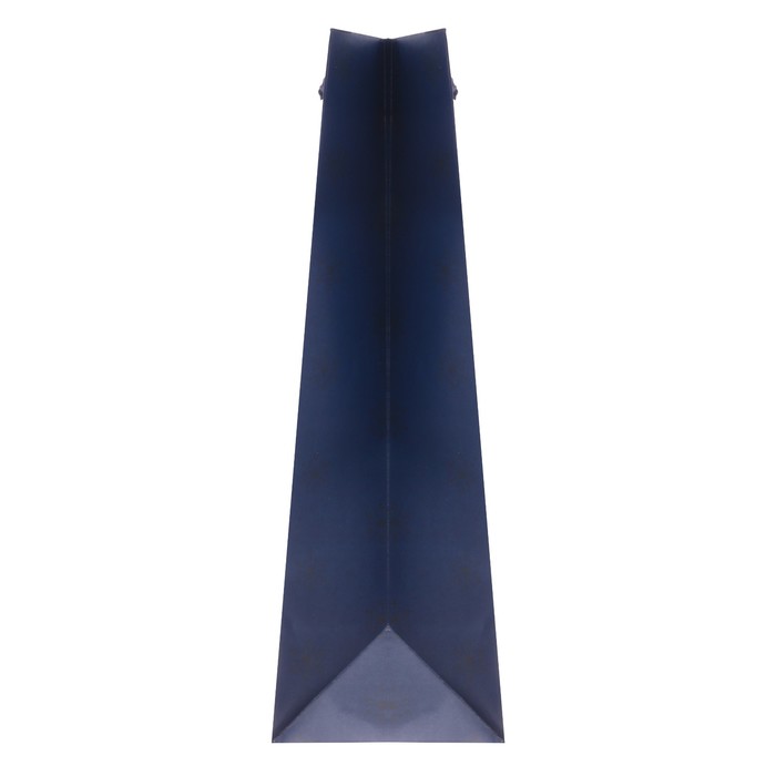 Пакет ламинированный вертикальный «Пусть счастье будет бесконечным!», L 31 × 40 × 9 см