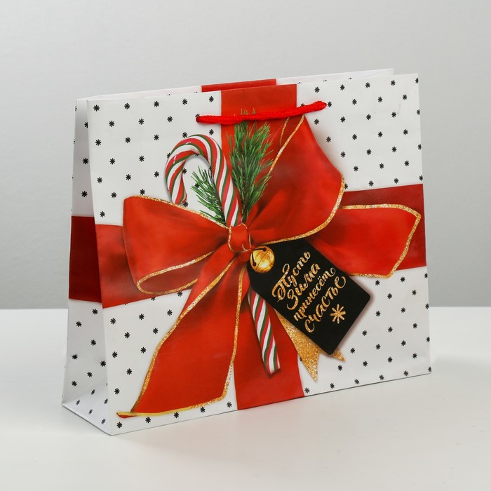 Пакет ламинированный вертикальный «Пусть зима принесет счастье», 23 × 27 × 8 см