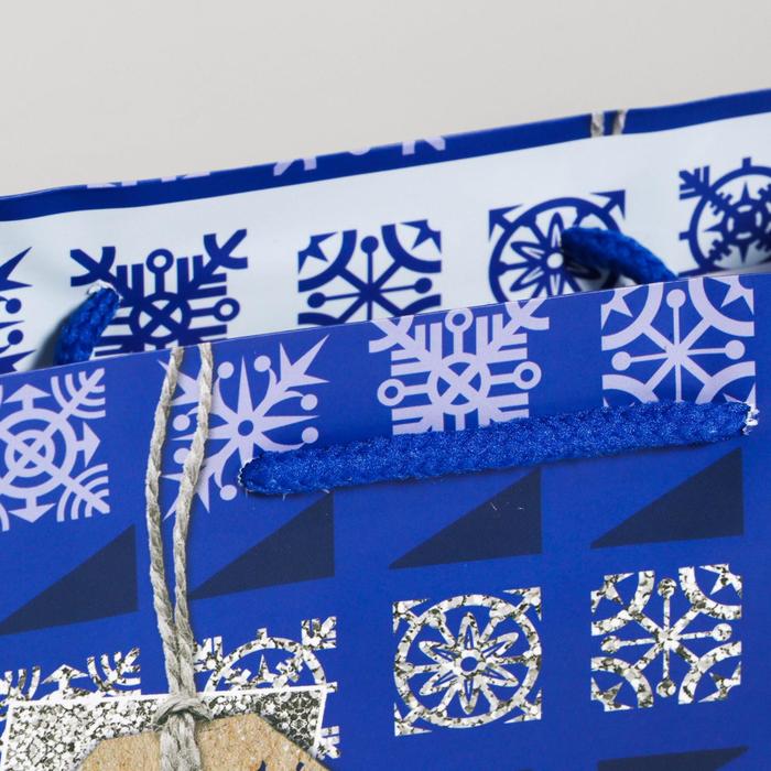 Пакет ламинированный вертикальный «Волшебной мечты», 18 × 23 × 8 см