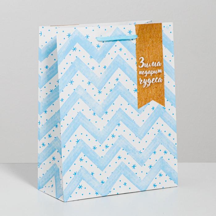 Пакет ламинированный вертикальный «Зима подарит чудеса», 18 × 23 × 8 см