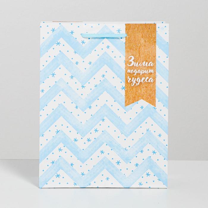 Пакет ламинированный вертикальный «Зима подарит чудеса», 18 × 23 × 8 см