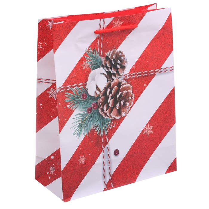 Пакет ламинированный вертикальный «Поздравляю!», 18 × 23 × 8 см