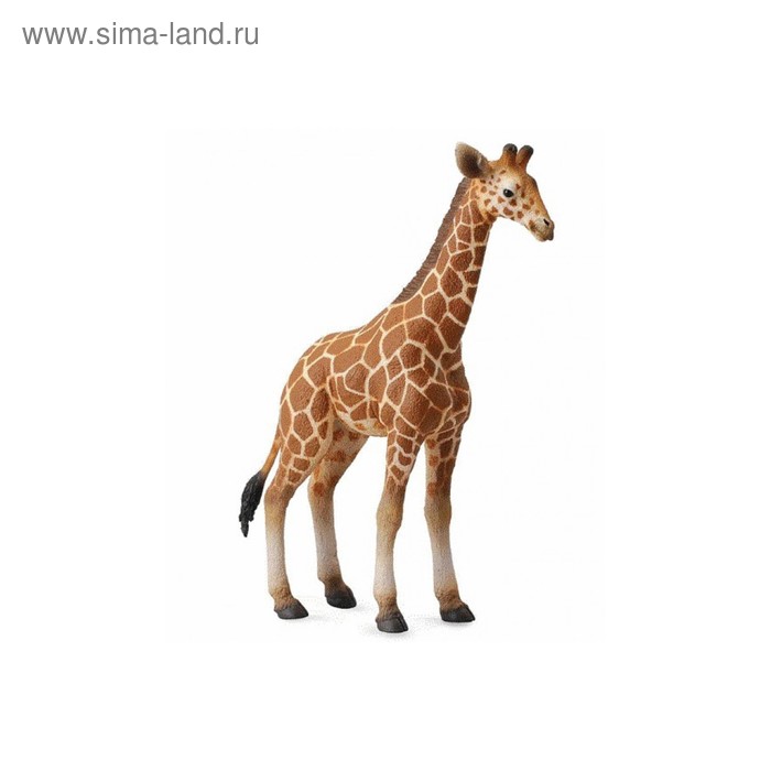 Фигурка «Жеребёнок сетчатого жирафа» жеребенок сетчатого жирафа