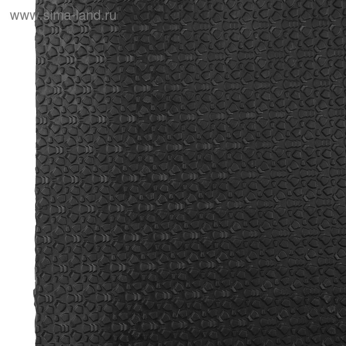 Профилактика Magna winter, 100 × 50 × 0,3 см, чёрная