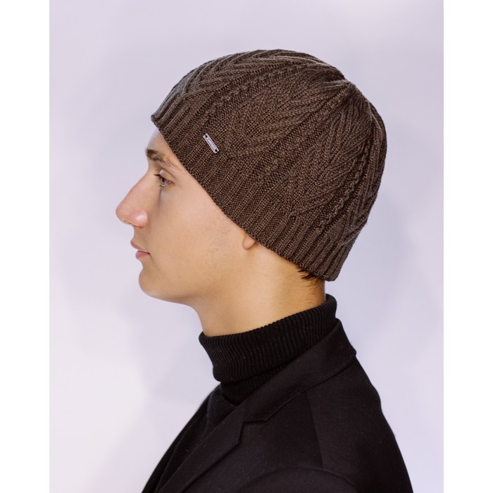 Шапка мужская демисезонная "МАЙКЛ" 827743 цвет кофе, р-р 56-58