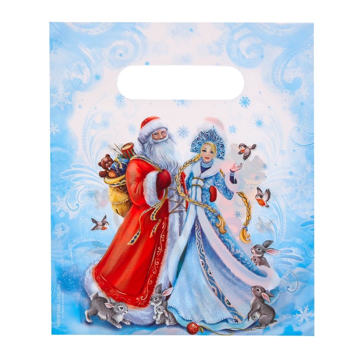 Пакет подарочный полиэтиленовый «Дед мороз со снегурочкой», 17 × 20 см