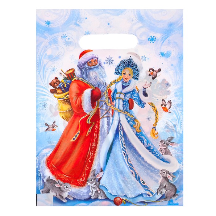 Пакет подарочный полиэтиленовый «Дед Мороз со Cнегурочкой», 23 × 29,5 см