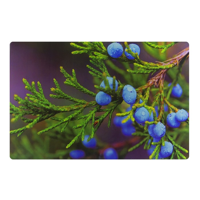 Стеклянная доска 20 х 30 см "Ветка терновника"