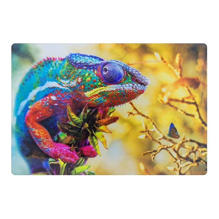 Стеклянная доска 20 х 30 см "Краски природы"