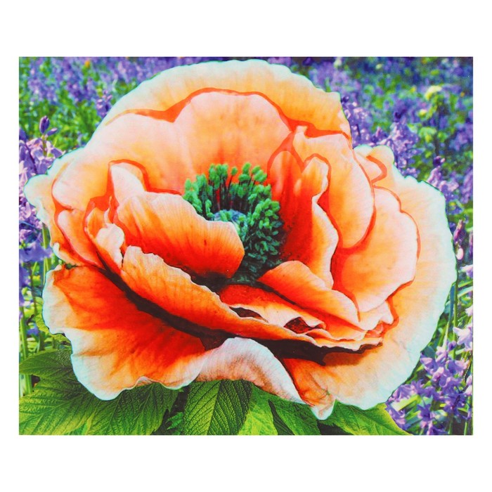 Алмазная картина "Алый мак" 17*21 см