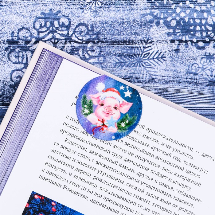 Набор магнитных закладок "Исполнения желаний", 3 шт.