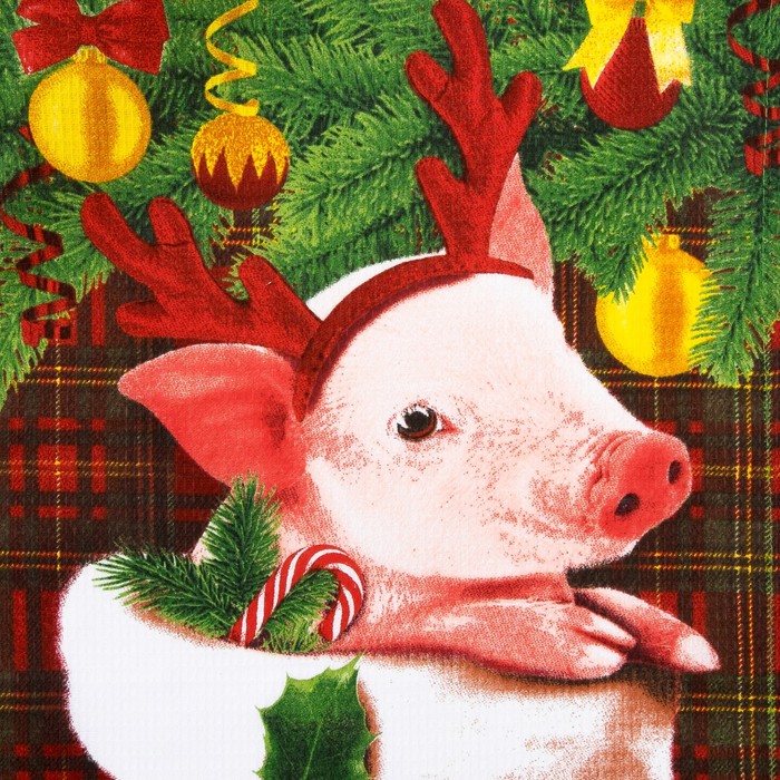 Полотенце "Свинка в носке" 35х60 см,100% хлопок 160 г/м2