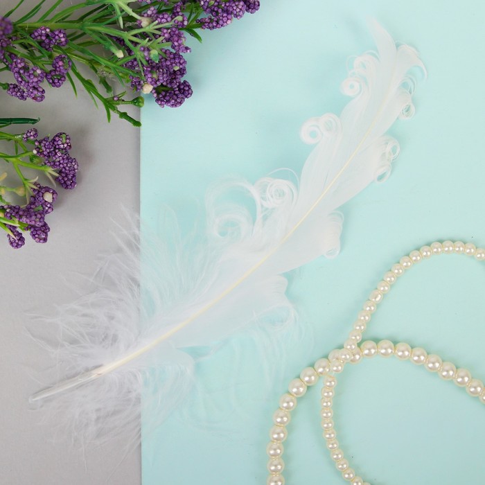 Набор перьев для декора 8 шт, размер 1 шт 13,5*2, цвет белый