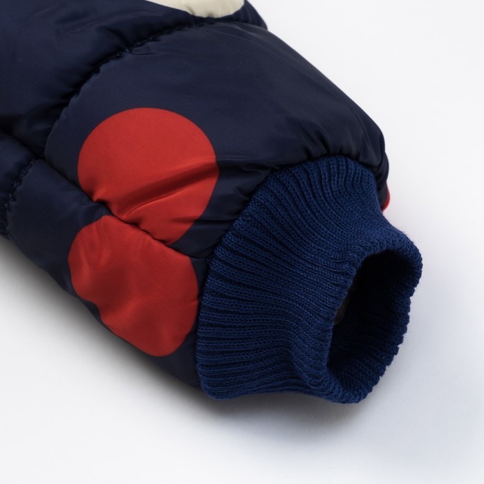 Куртка для девочки "Милашка", рост 98-104 см, цвет тёмно-синий