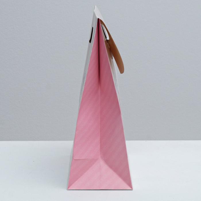 Пакет подарочный «Подарок замечательный», 26 × 32 × 12 см