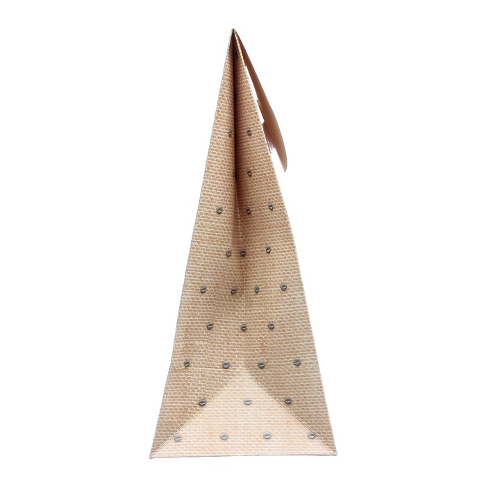 Пакет подарочный «Для тебя», 18 × 23 × 10 см